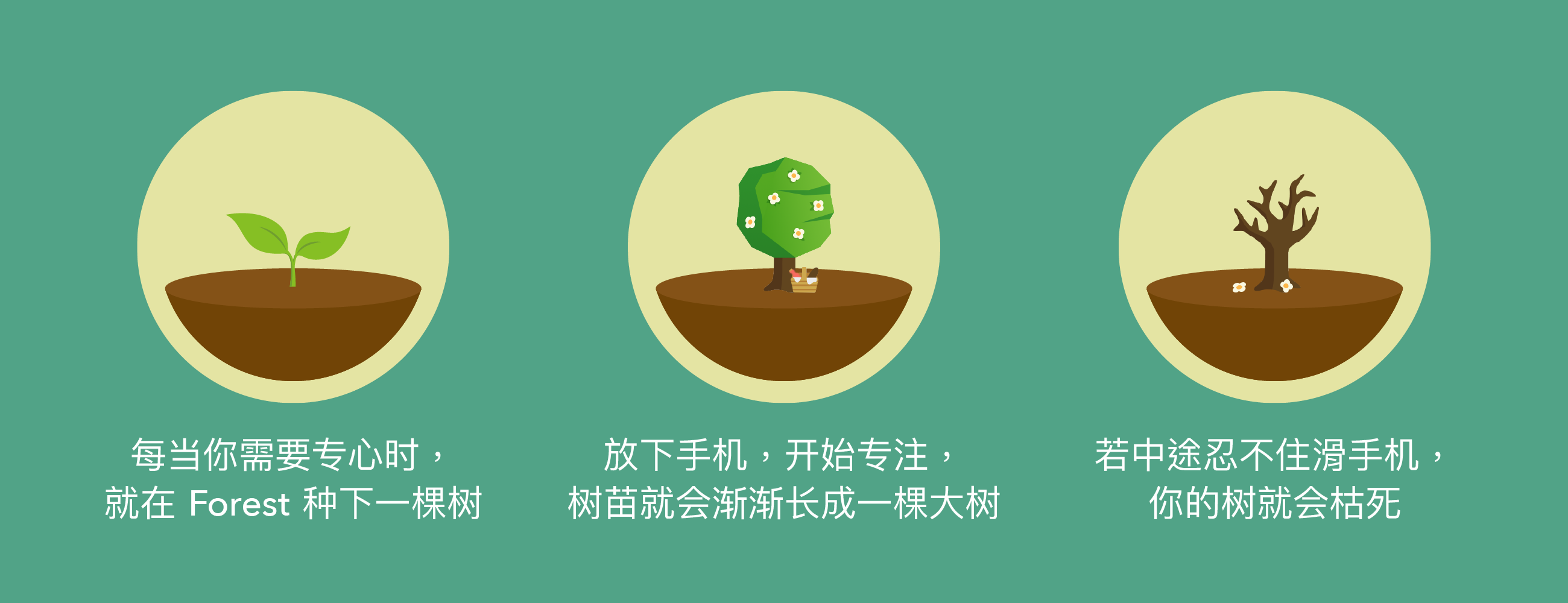Forest 机制